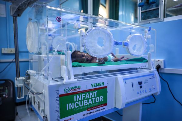 One Incubator