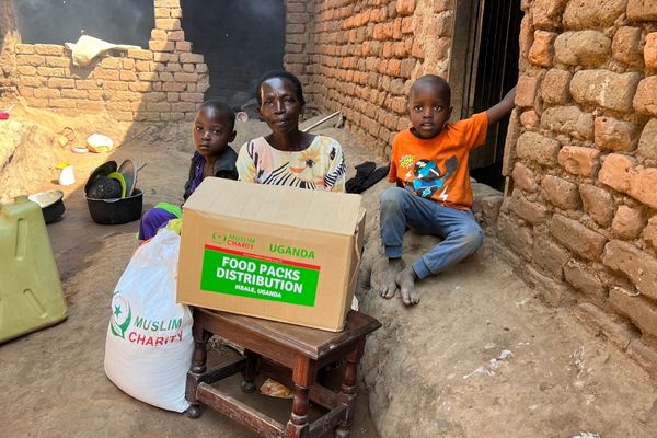 Provide Basic Support for Survivors