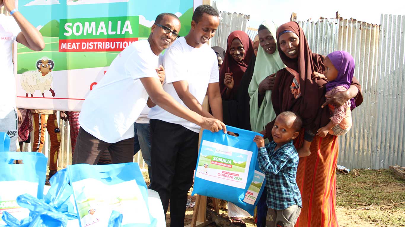 gallery_image_title2