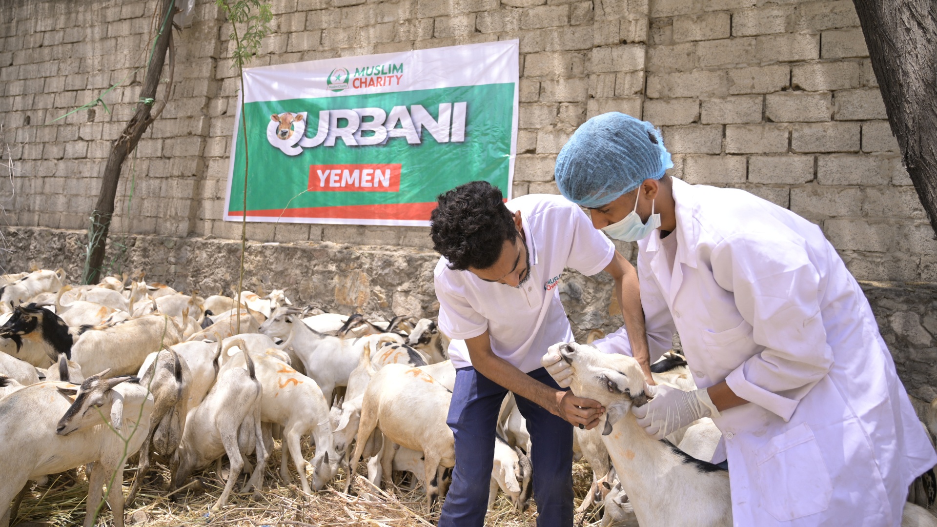 gallery_image_title1