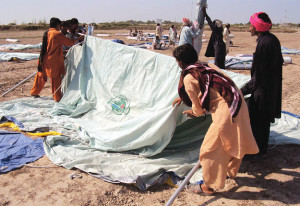 gallery_image_title2