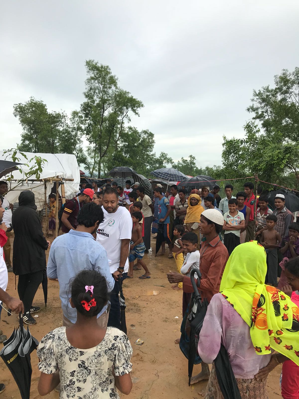 gallery_image_title4