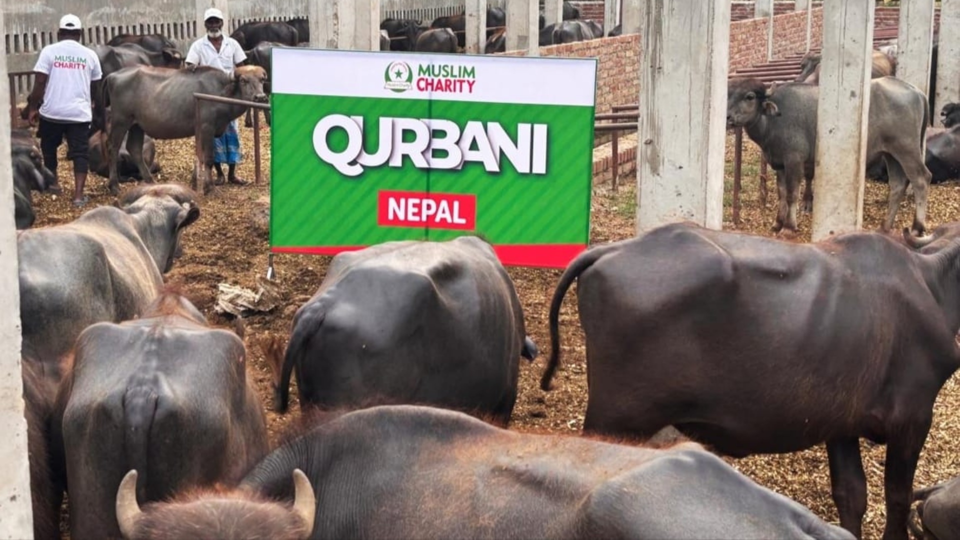 gallery_image_title1