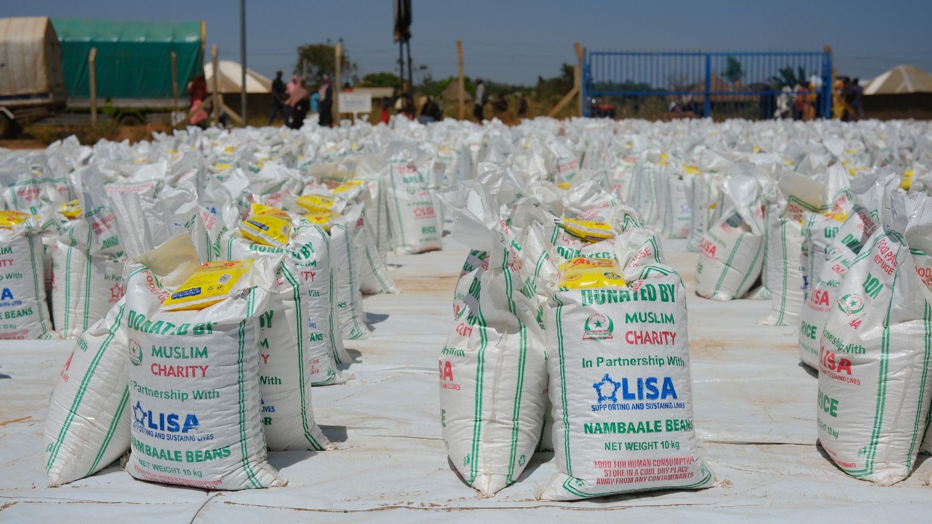 gallery_image_title4