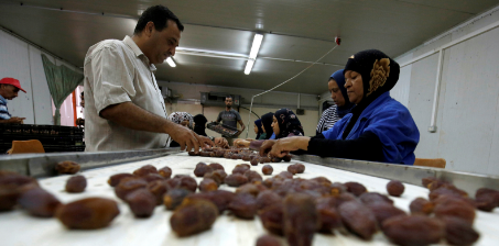 Medjoul Dates